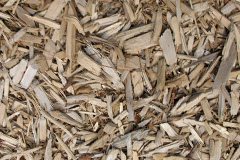 biomass boilers Burnt Oak